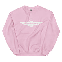 Load image into Gallery viewer, Thunderbirds Sweatshirt